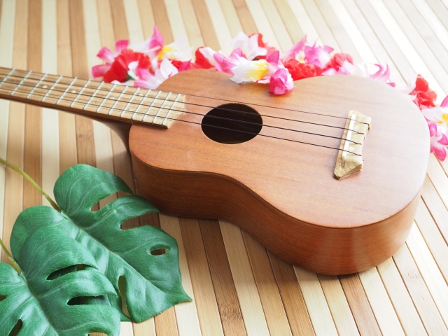 豊島区・大塚のおすすめウクレレ教室3選!初心者でも安心&安いスクールを厳選、イメージ